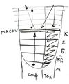 rus_RAV_Ptiha_21-10-03_pic11.jpg-thumbnail