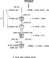 heb_o_rav_bs-pticha_2001-03-01_shiur_bb_mekutzeret_pic01.jpg-thumbnail