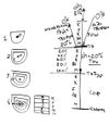rus_RAV_Ptiha_21-10-03_pic20_edit.jpg-thumbnail